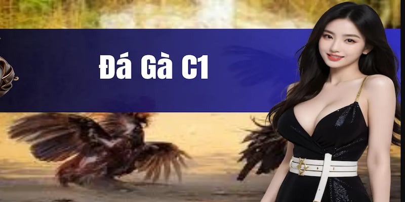 Đá gà mạng C1 và những lý do khiến KING88 hút khách