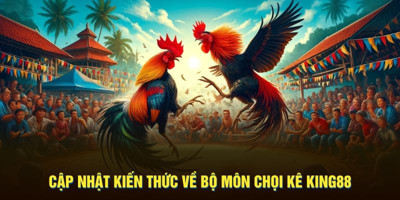 Cập nhật kiến thức về bộ môn chọi kê KING88