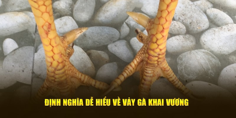 Định nghĩa dễ hiểu về vảy gà khai vương