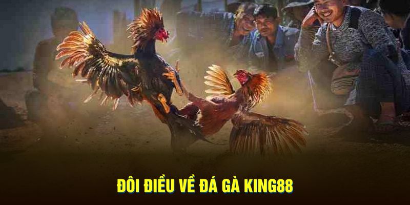 Đôi điều về đá gà KING88