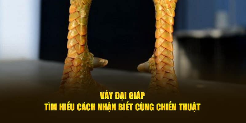 Vảy đại giáp