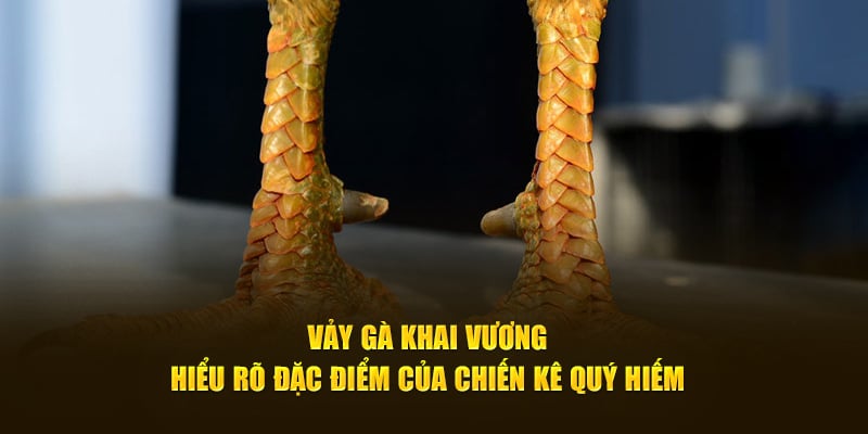vảy gà khai vương