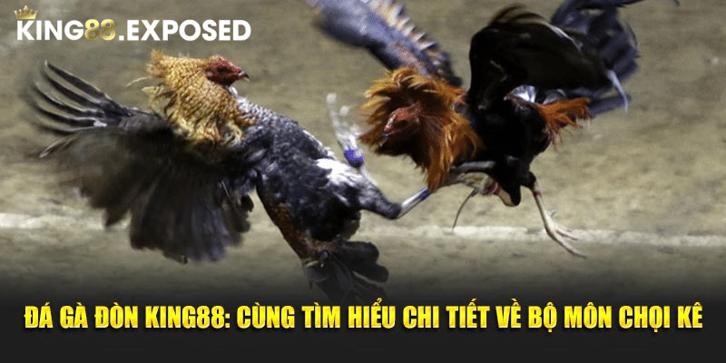 đá gà đòn