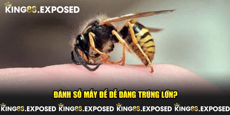 Đánh con mấy để có thể dễ dàng trúng lớn?