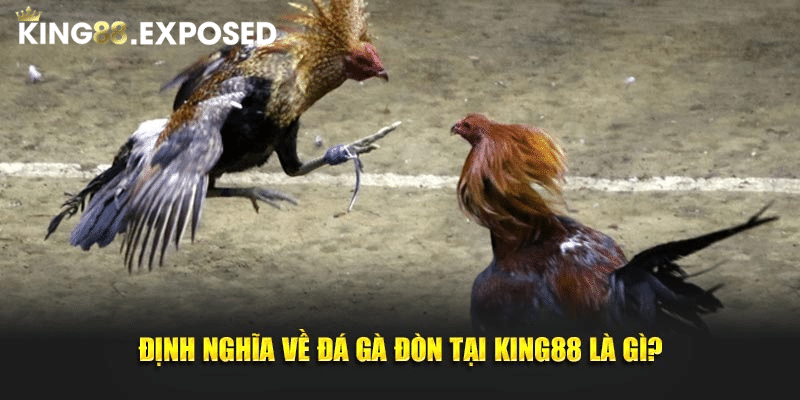 Định nghĩa về đá gà đòn tại KING88 là gì?