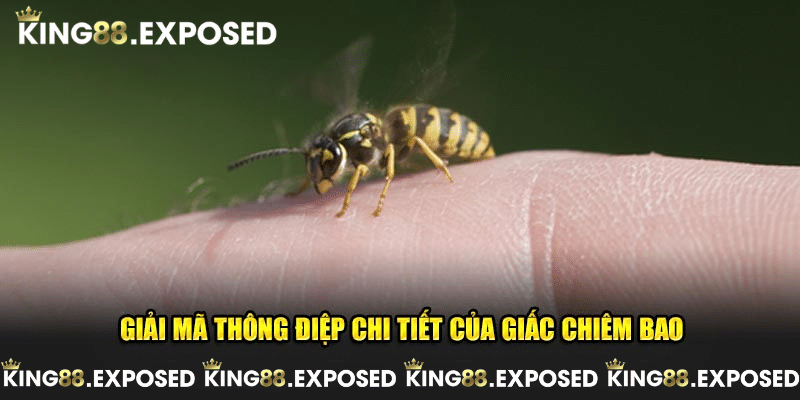 Giải mã thông điệp chi tiết nhất của giấc chiêm bao